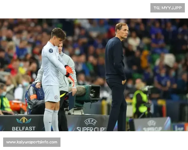 布伦特福德主帅谈黑马之旅：数据建模与球探系统结合