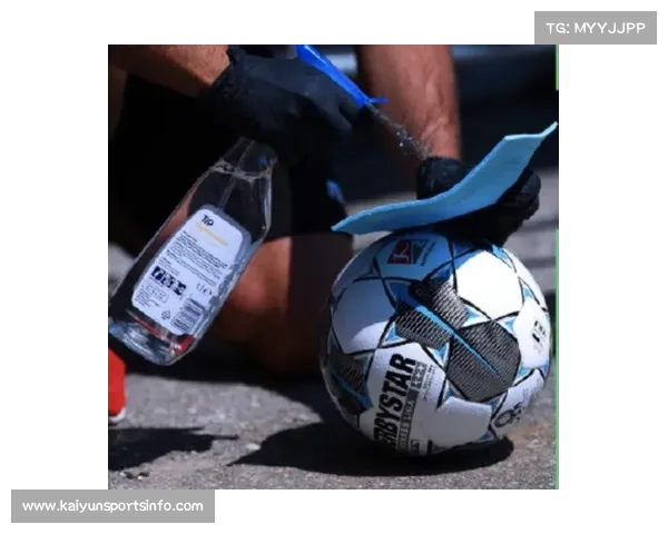 德甲反歧视委员会公布2月赛场行为监测报告